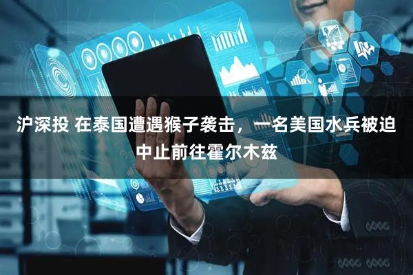 沪深投 在泰国遭遇猴子袭击，一名美国水兵被迫中止前往霍尔木兹